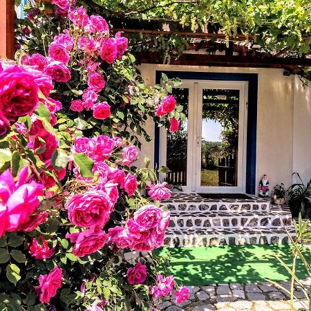 Teo Guest Rooms Baile Felix Bagian luar foto
