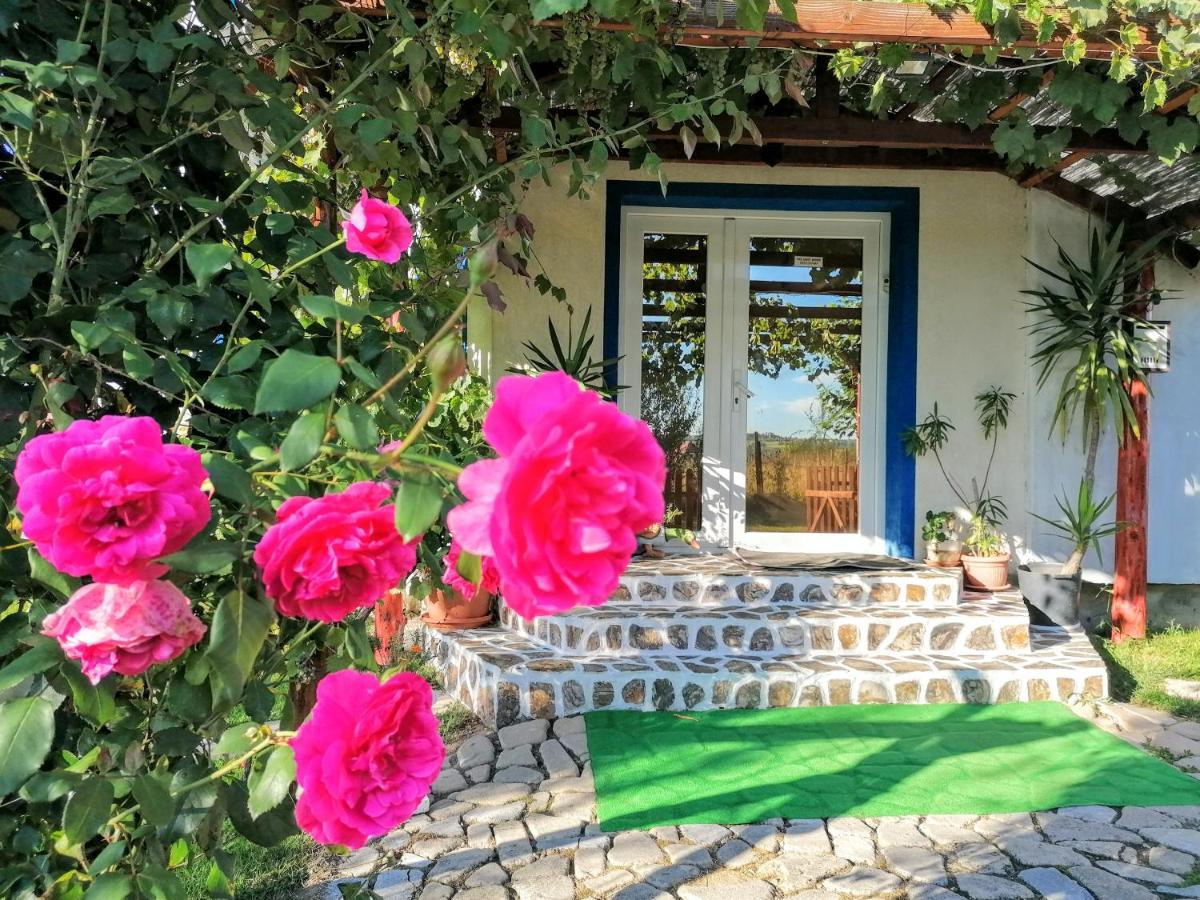 Teo Guest Rooms Baile Felix Bagian luar foto