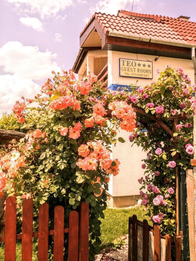 Teo Guest Rooms Baile Felix Bagian luar foto