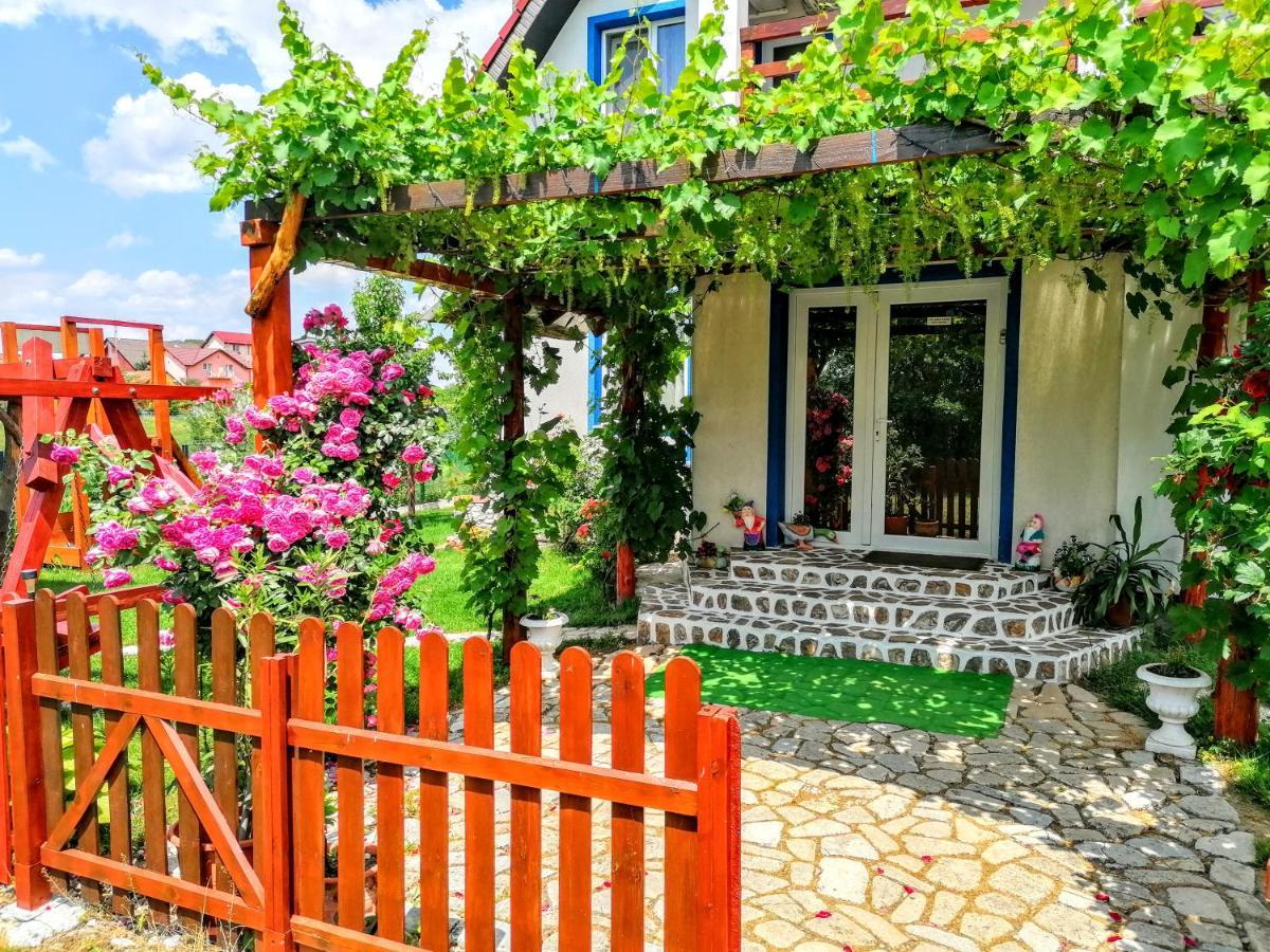 Teo Guest Rooms Baile Felix Bagian luar foto